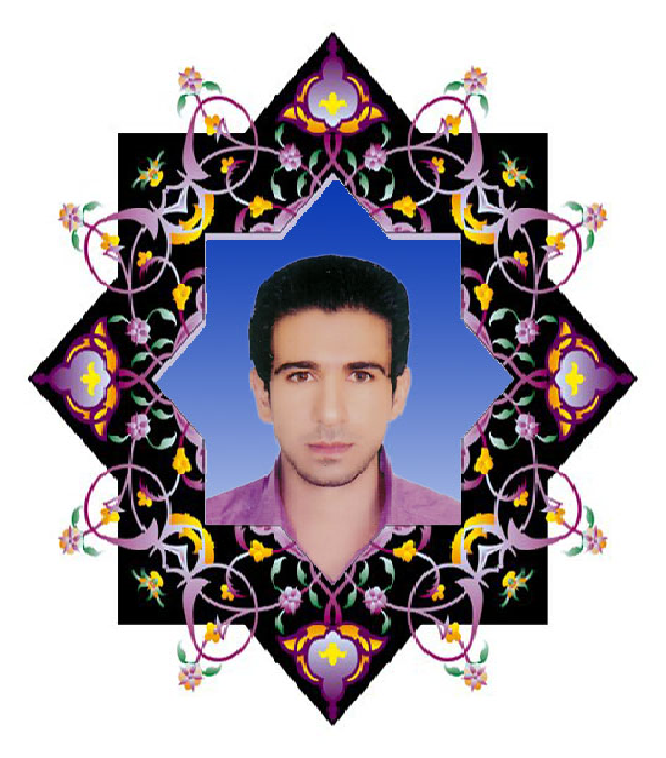 شهید رضا میر