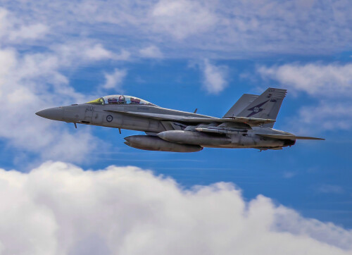 RAAF-FA-18F-Super-Hornet-A44-201-c.jpg